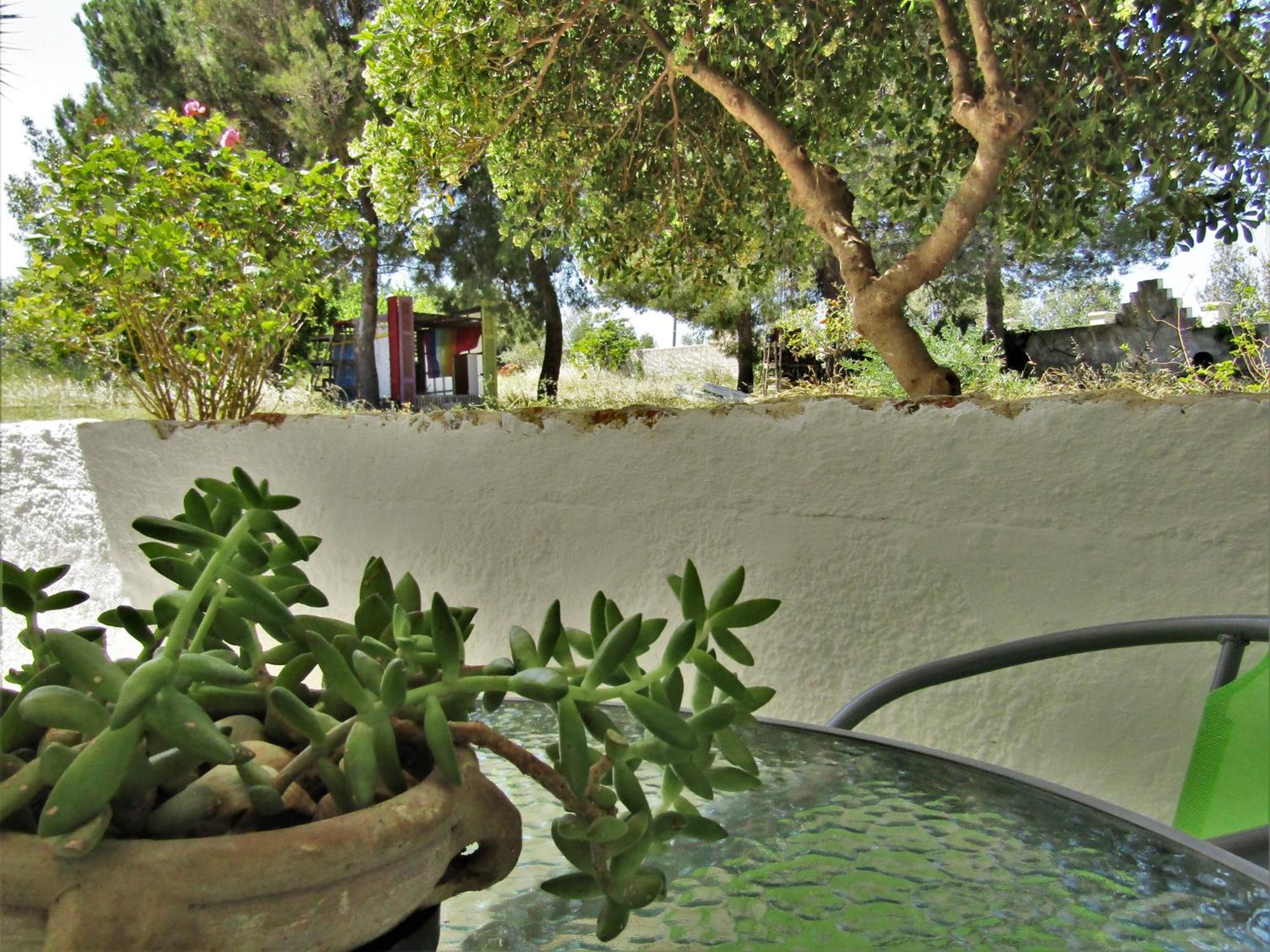 Asklipion Valley Guest House Kos Town Exterior photo