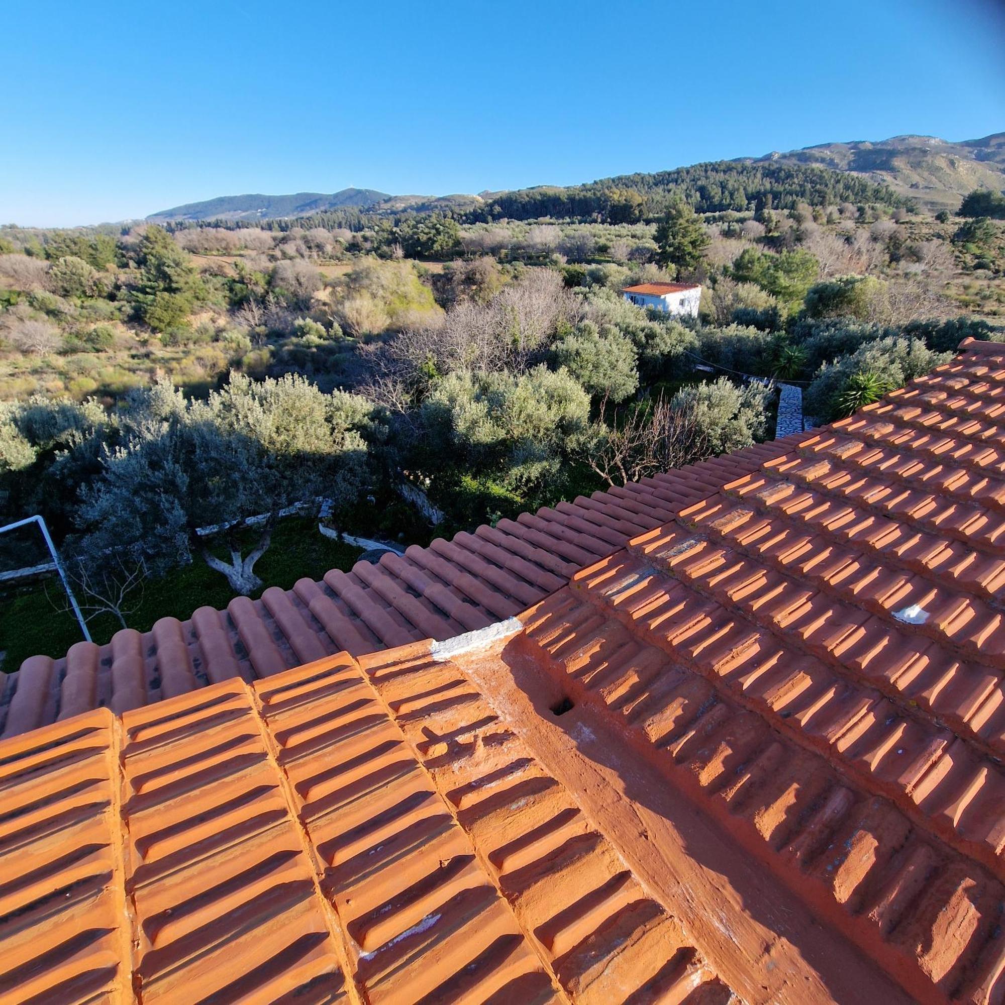 Asklipion Valley Guest House Kos Town Exterior photo